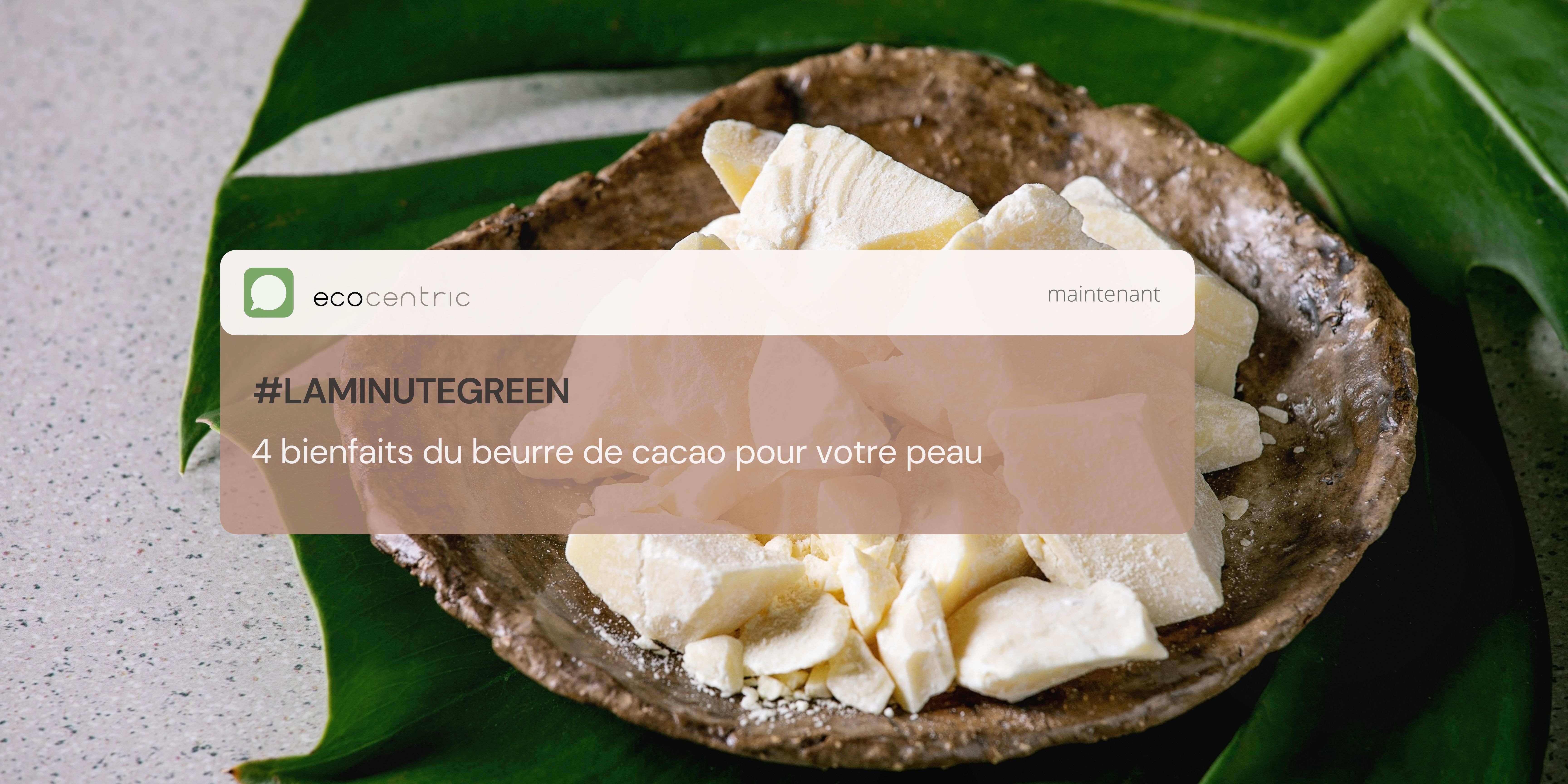 Beurre de Cacao BIO: propriétés et soin de beauté