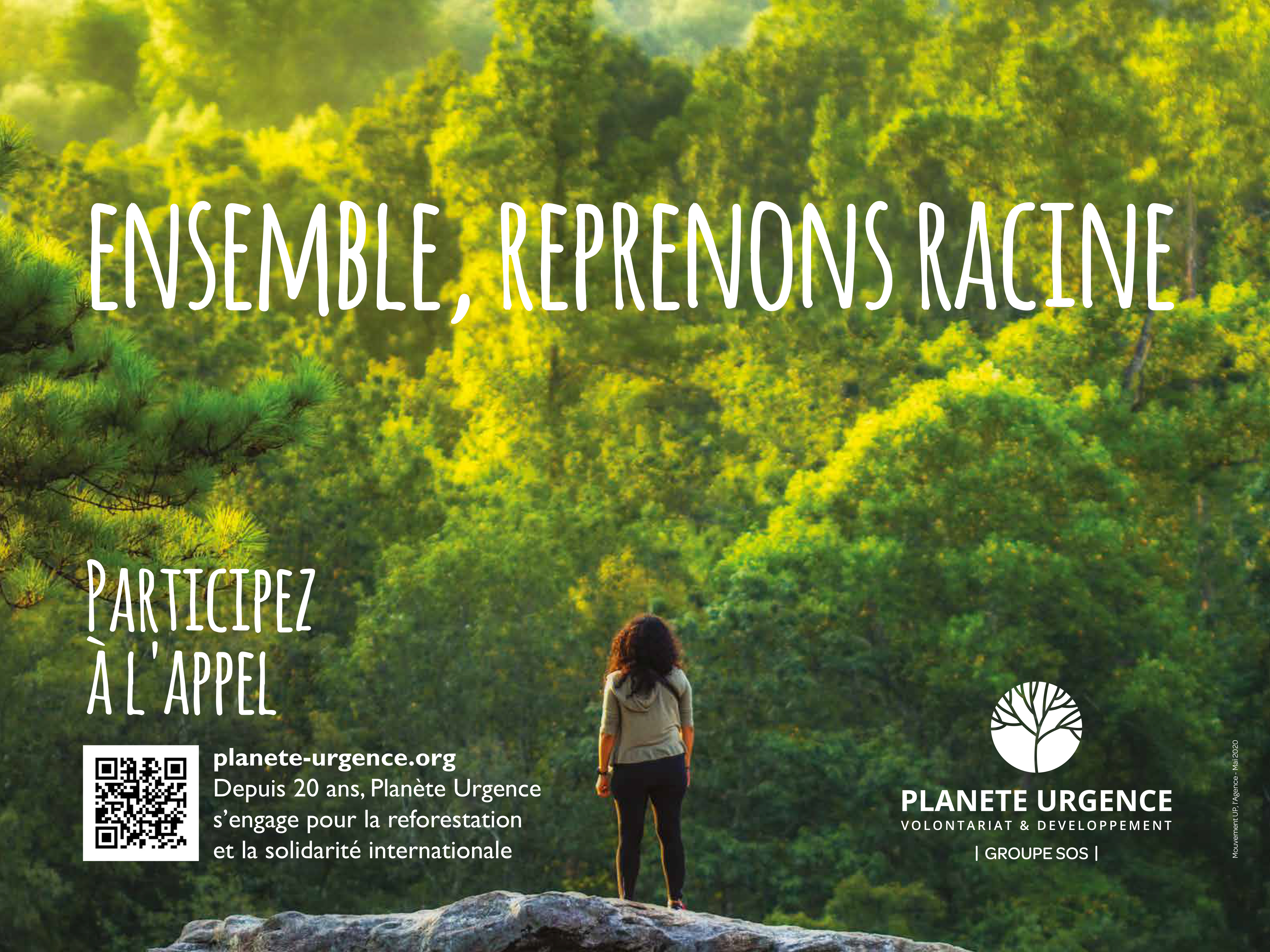 Participer à la reforestation